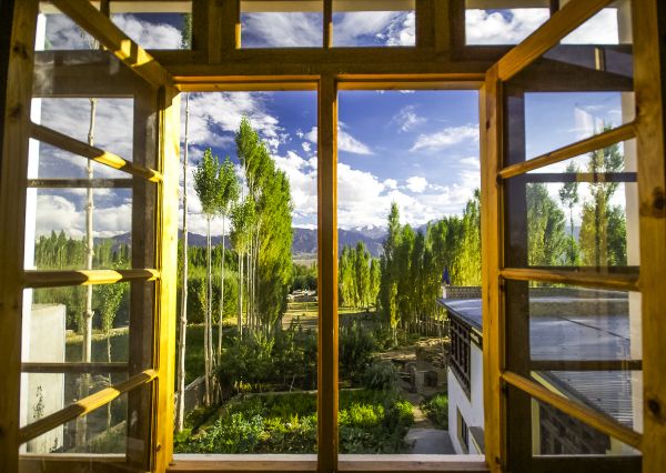 Cost of Wood Window Replacement in Danville